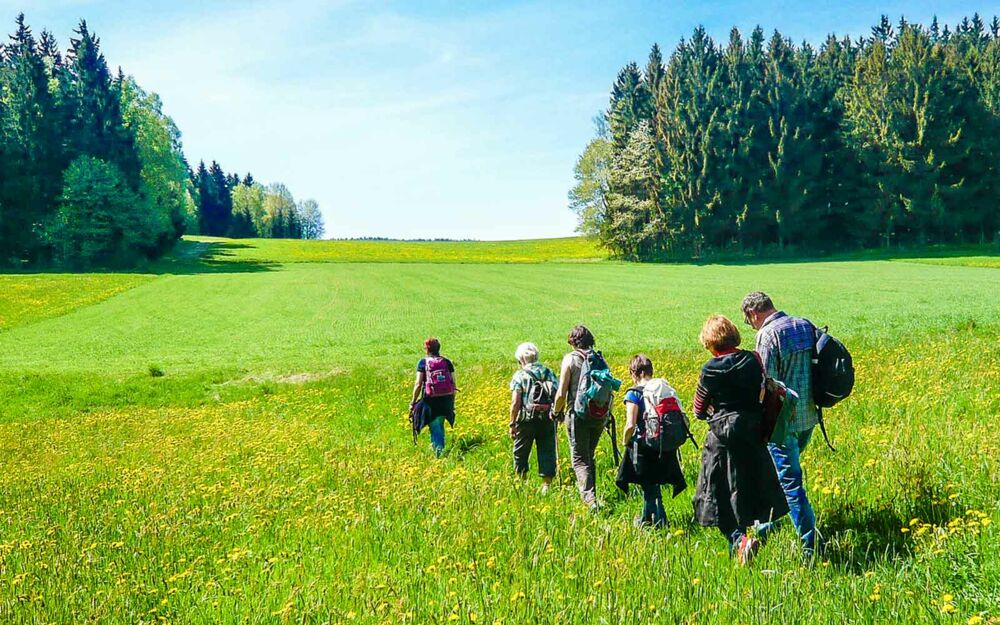 Eine Fasten-Wanderung in der freien Natur ist nicht nur gut für den Körper.