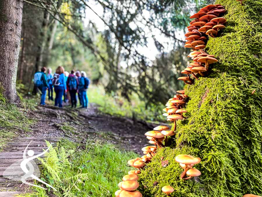 Fastengruppe Oktober 2024