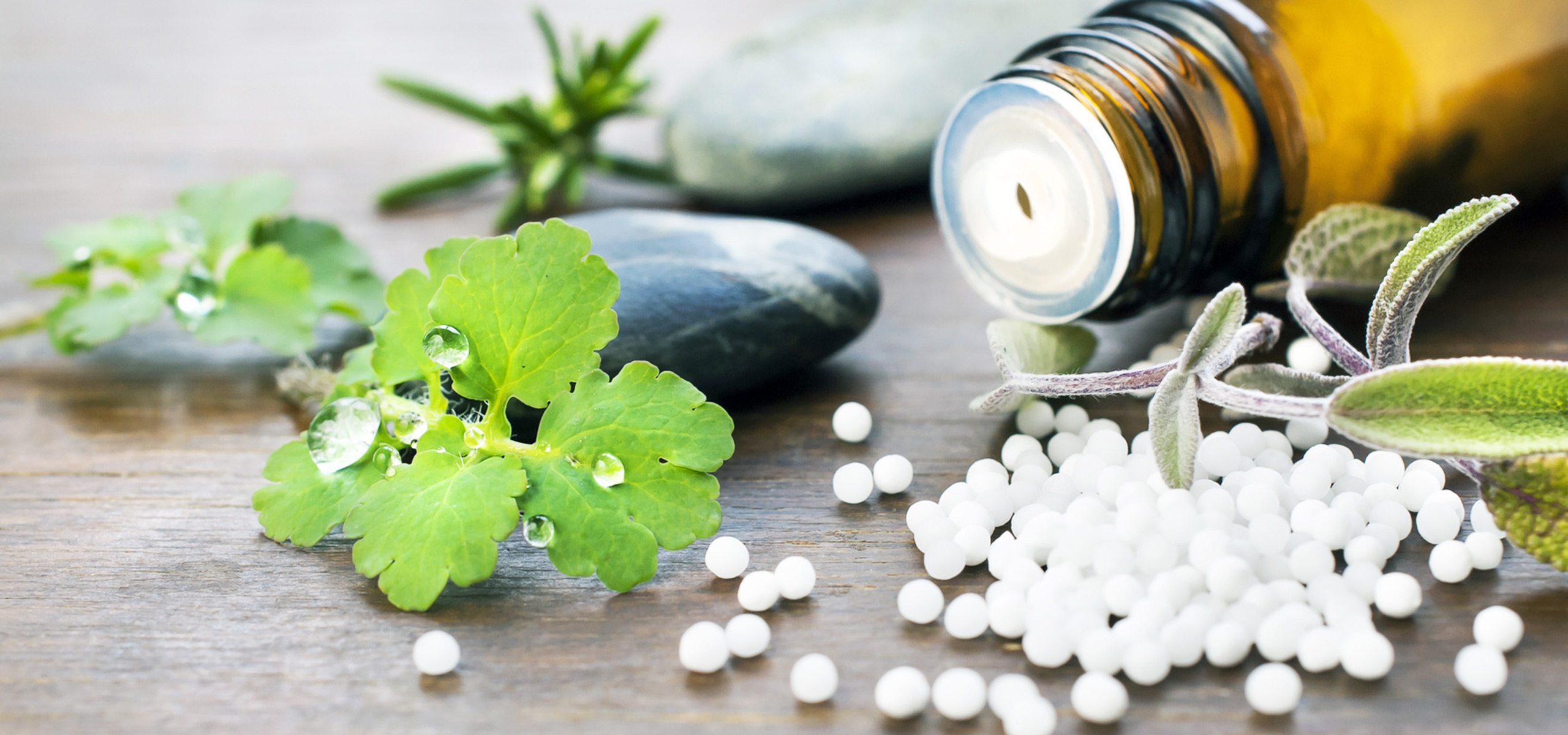 2. Puzzleteil – Homöopathie