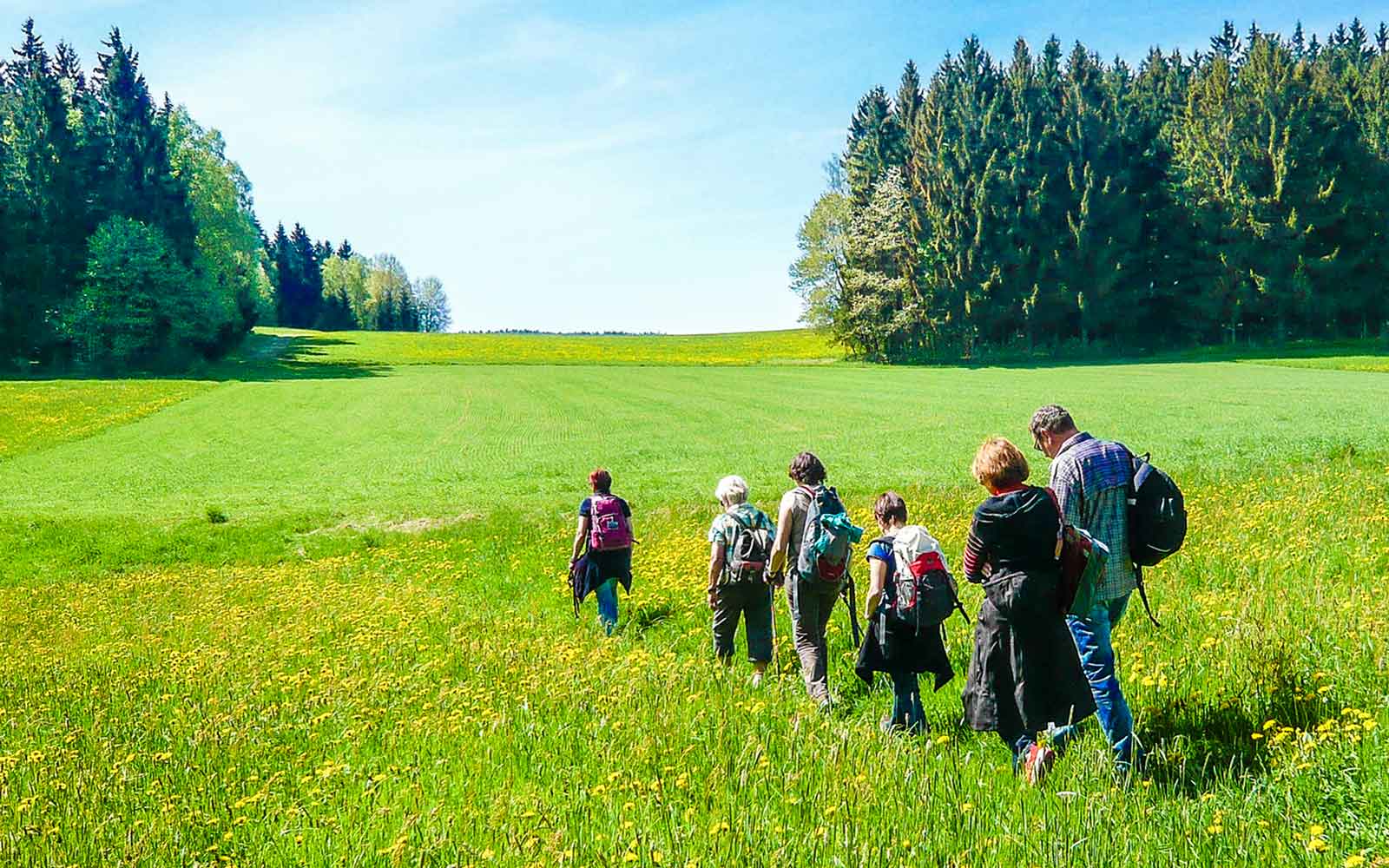Bewegung macht schlau!